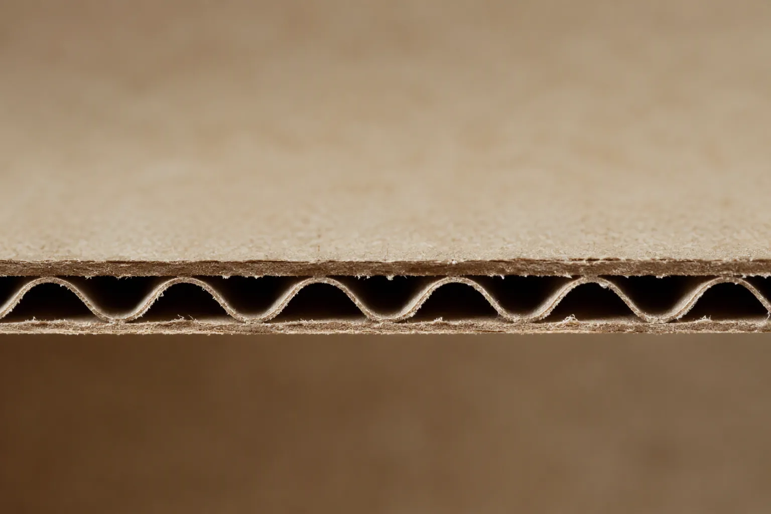 Cross-section of corrugated board with a fluted middle layer